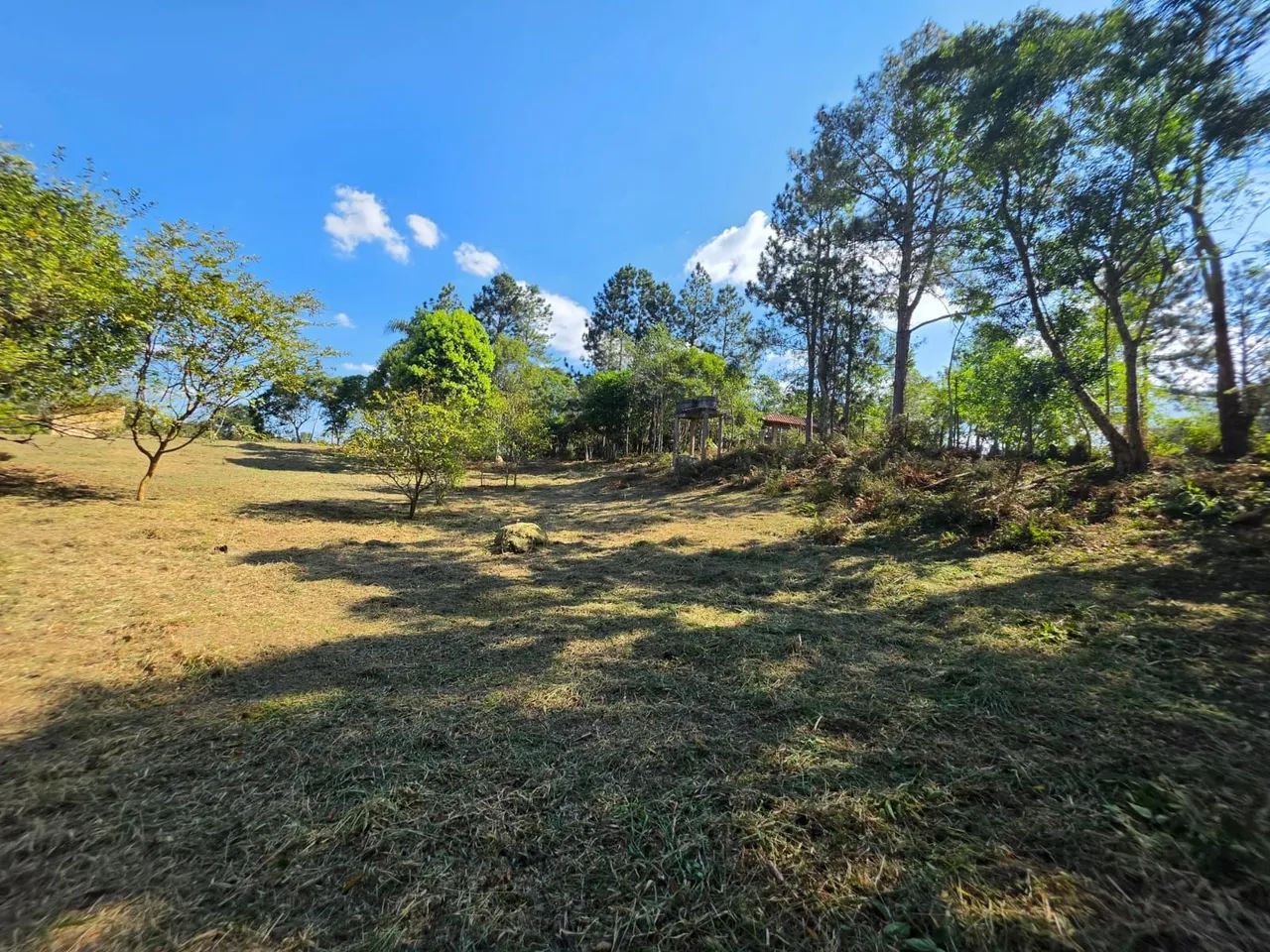 Terreno Plano com Pomar, Ótima Localização ! - Foto 2