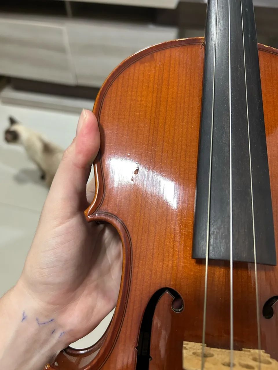 VIOLINO EAGLE ADULTO - Foto 3