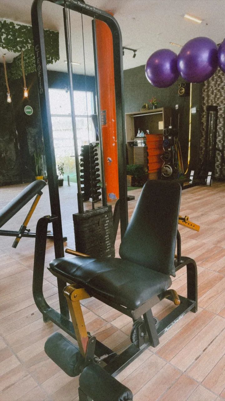 MÁQUINAS MUSCULAÇÃO PROFISSIONAL 