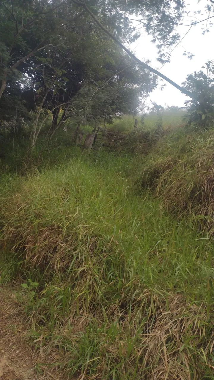 Oportunidade direto com proprietário  - Foto 4