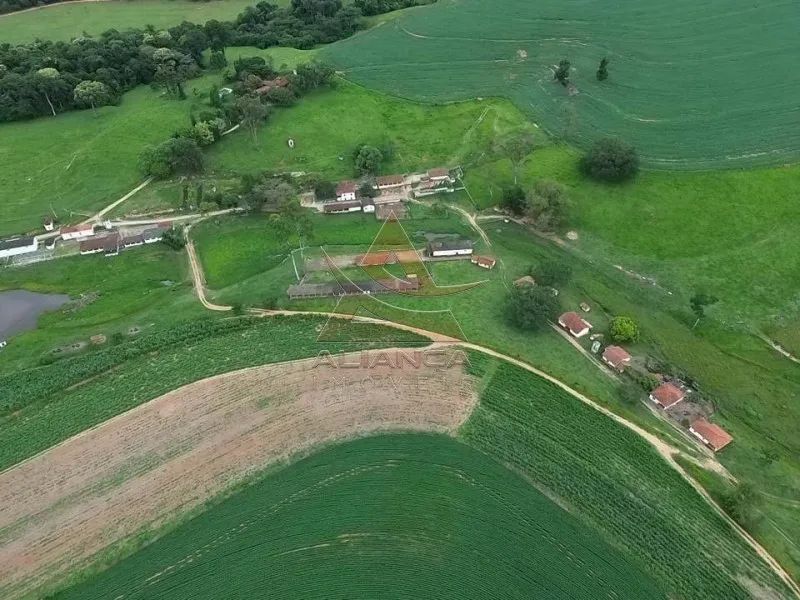 Fazenda - São José do Rio Pardo - Zona Rural - Foto 4