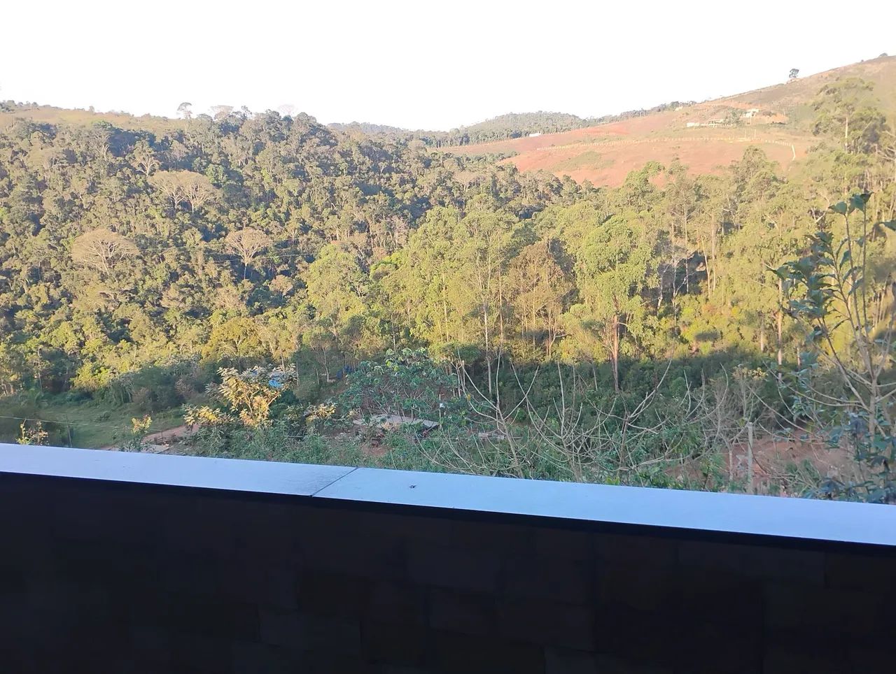 Vendo granja torreoes - Foto 4