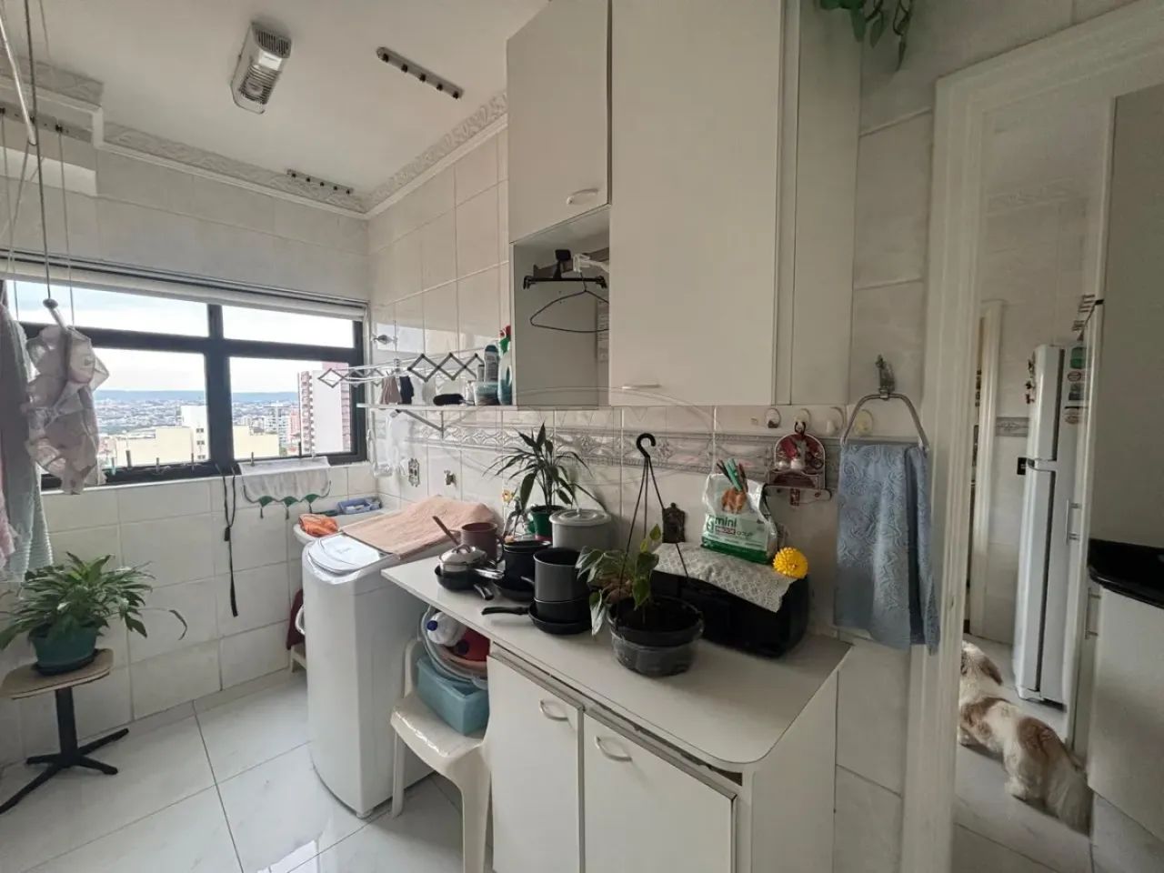 Apartamento à venda no Edifício Luiz Pessuti ? Amplitude, privacidade e excelente localiza - Foto 5