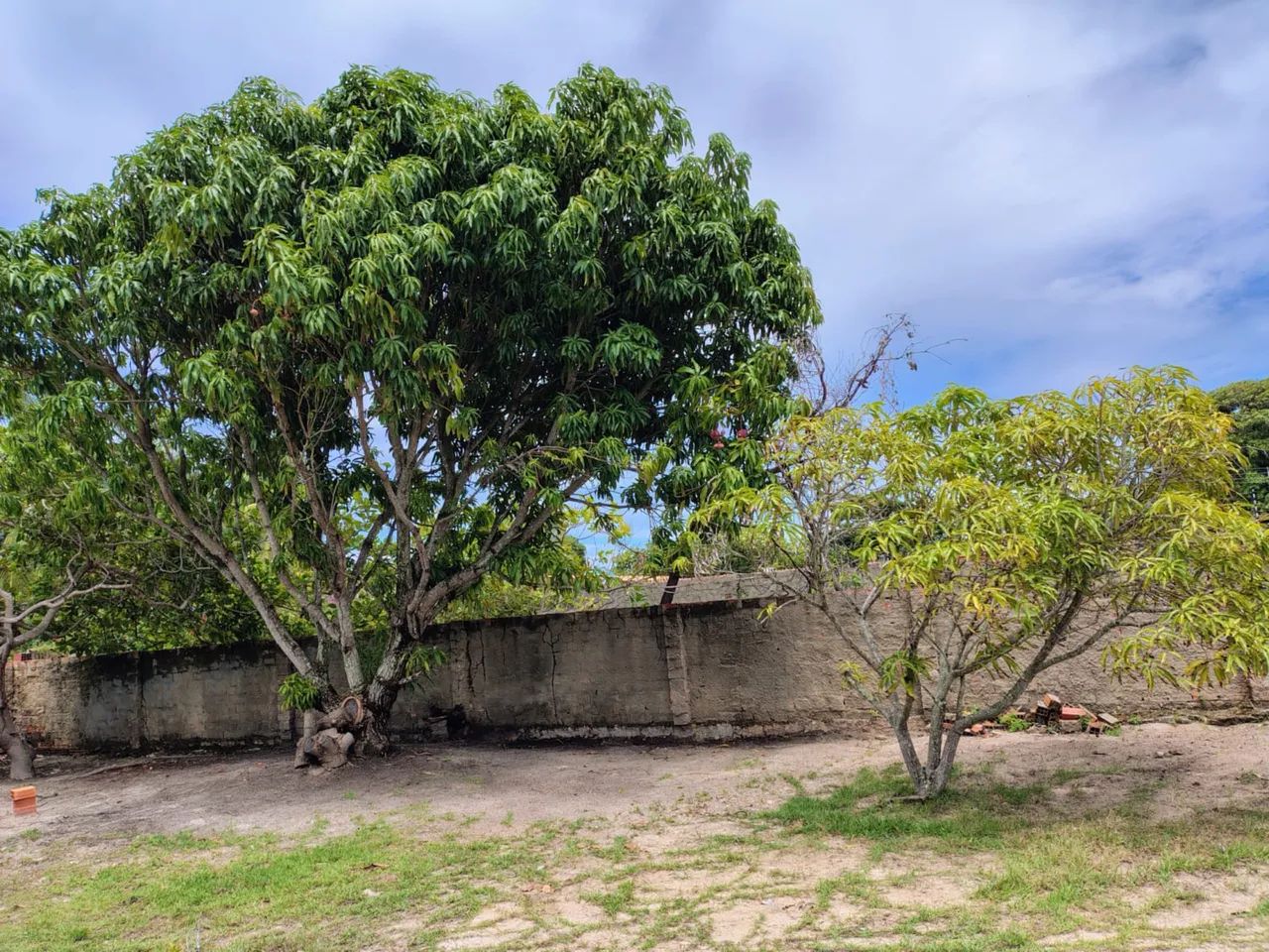 Vendo terreno em praia de tabuba - Foto 2