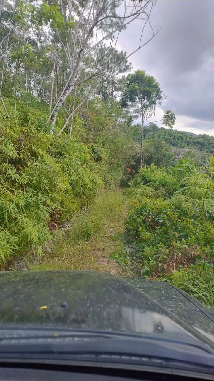 Vende-se  - Foto 3