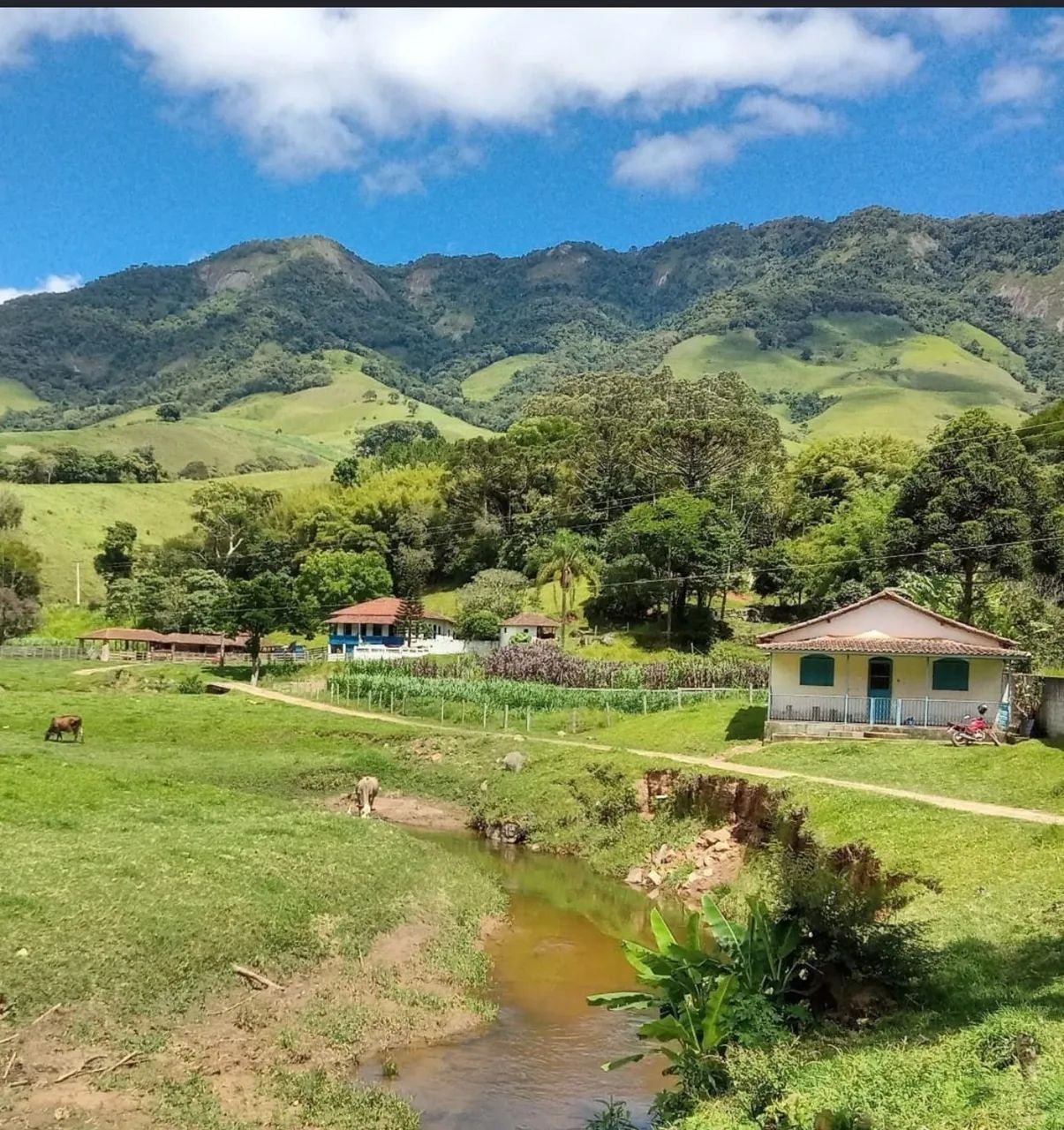 Prescizo de Caseiro serviços gerais 