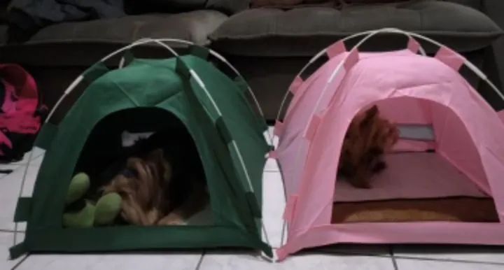 TENDA PET - Foto 3
