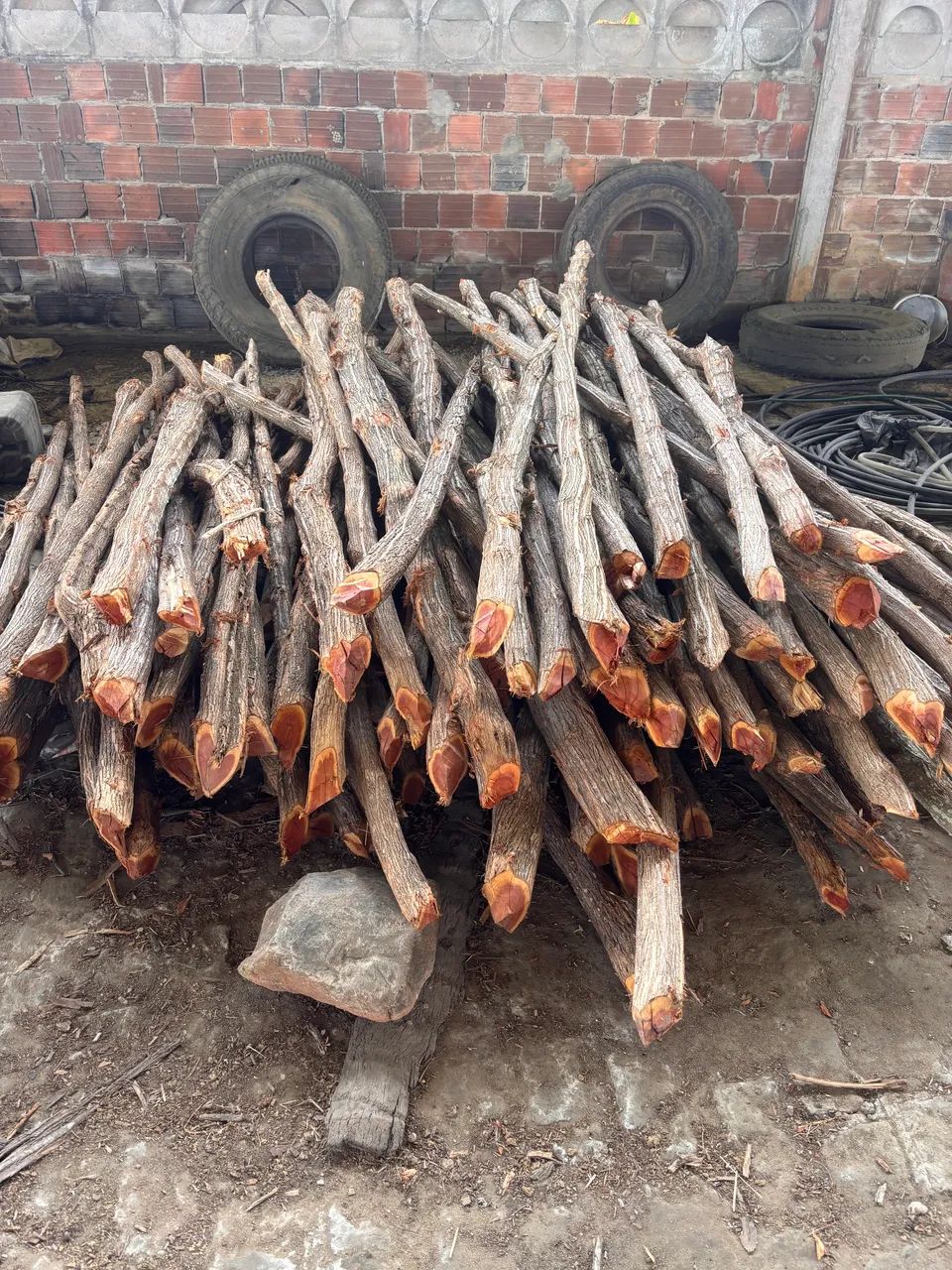 Mockingbird Posts64985880890881123