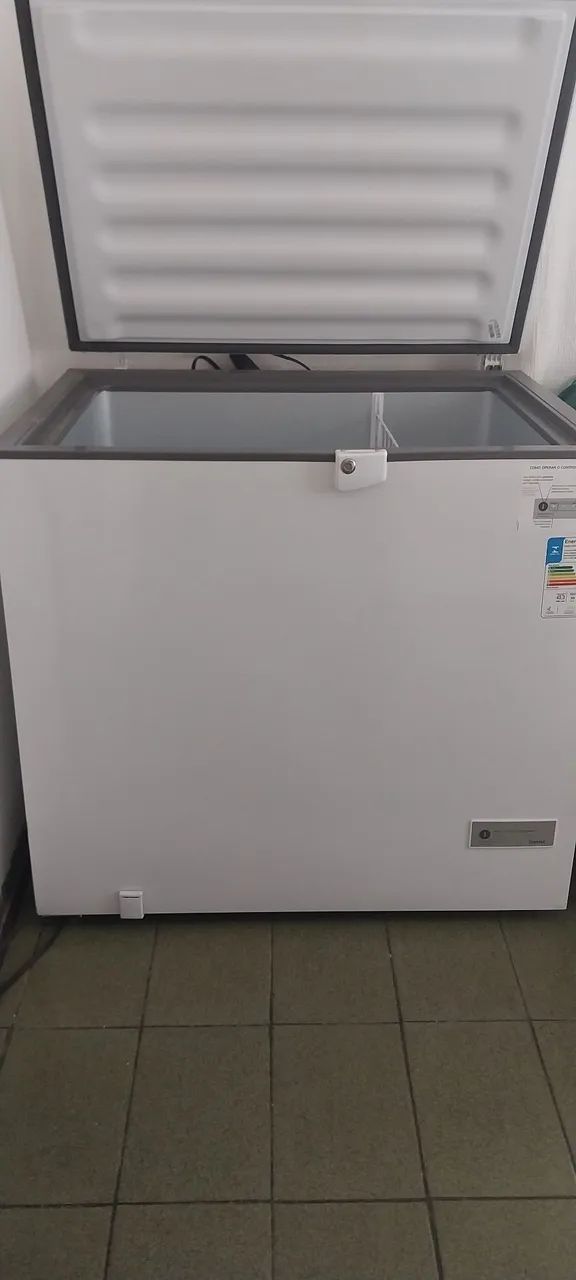 Vendo frezer consul 309 litros 