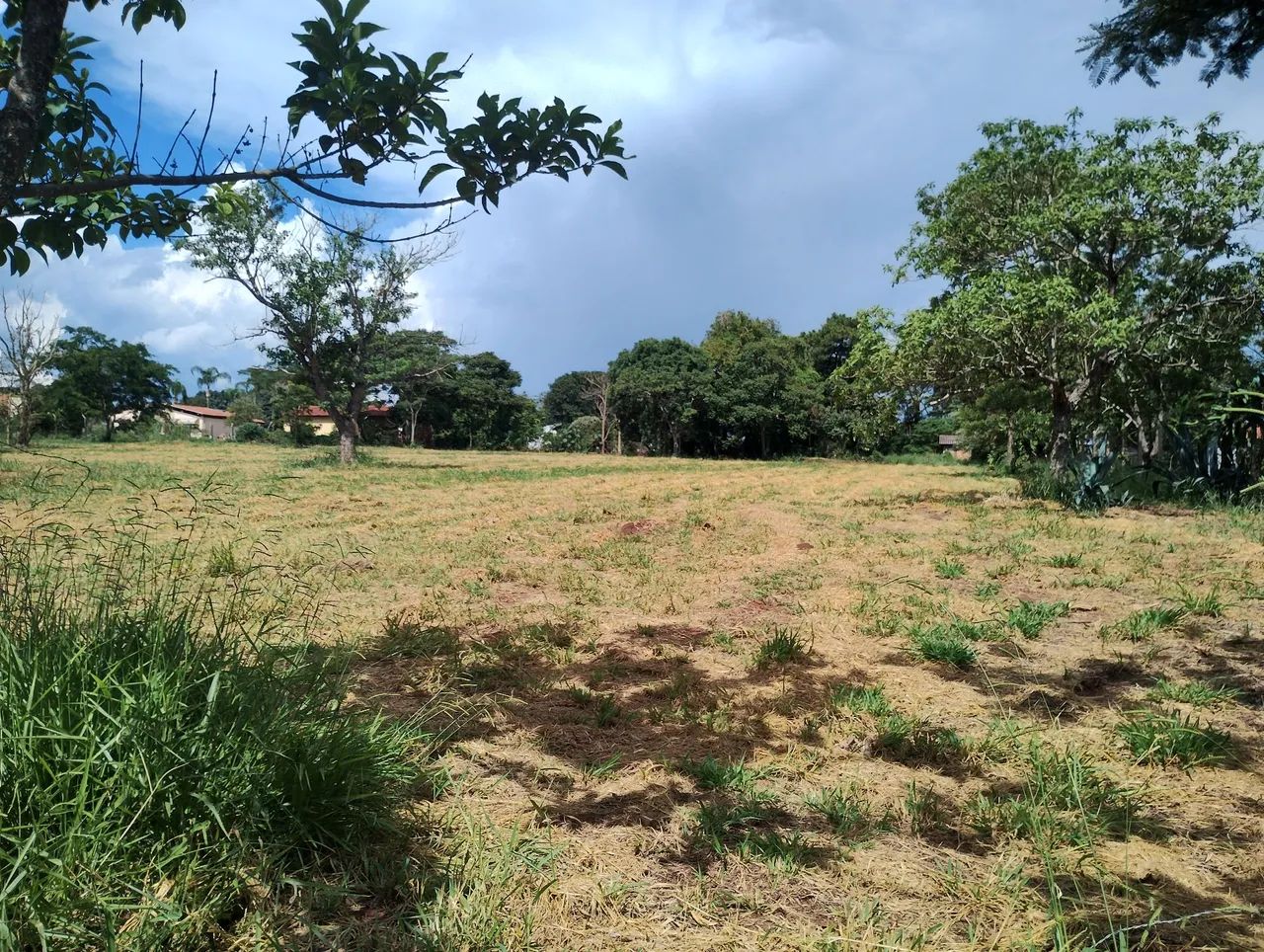 Foto - São Carlos - Centro