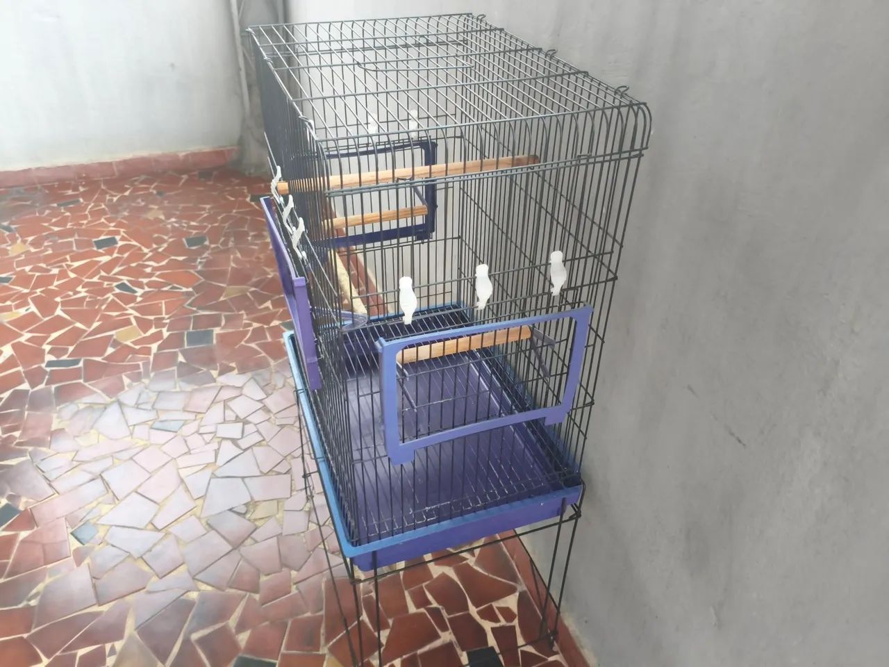 Gaiola para calopsita - Foto 3