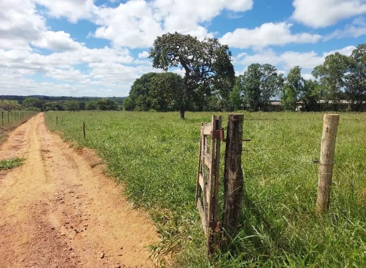 CHÁCARA 72.000 m² COM CÓRREGO, CASA E ENERGIA - GO-020 | BELA VISTA DE GOIÁS - Foto 4