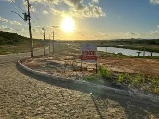 Lote - Foto 4