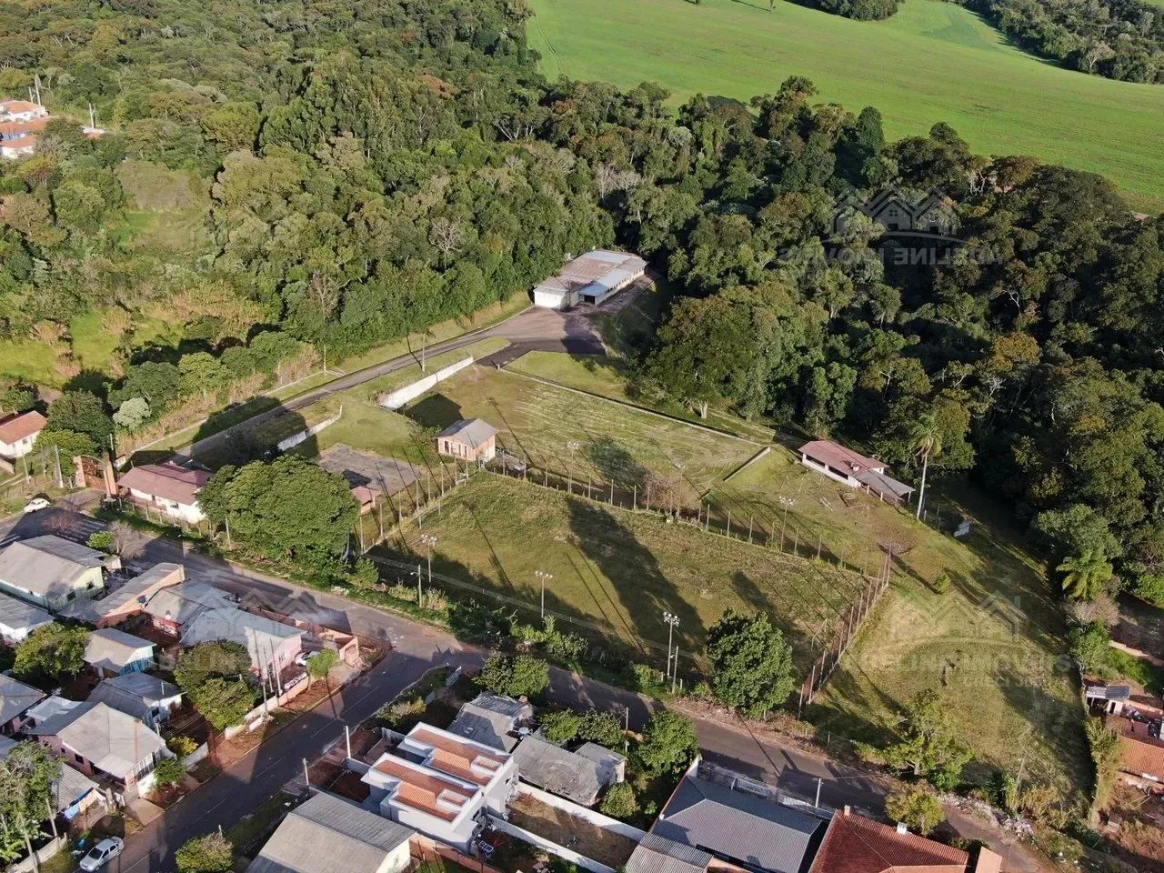 Terreno AFCB - Cidade Nova Carambeí - Foto 4