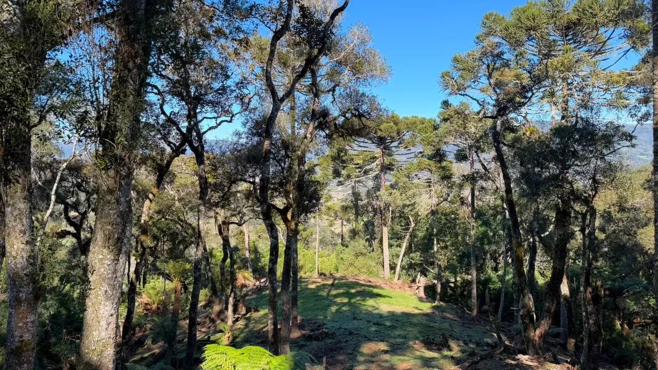 Pousada com 3 Chalés á Venda em Urubici - Foto 4