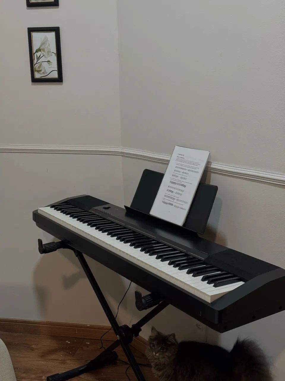 Piano Digital Casio CDP 130