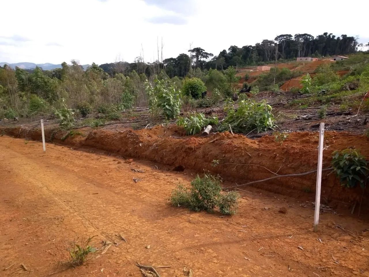 Vendo granjas - Foto 4