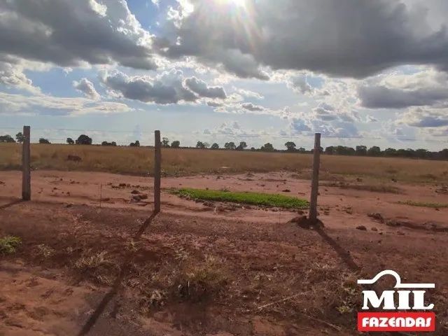 Arrendamento Agrícola em Nova Crixas-GO (726 Há) - Foto 4