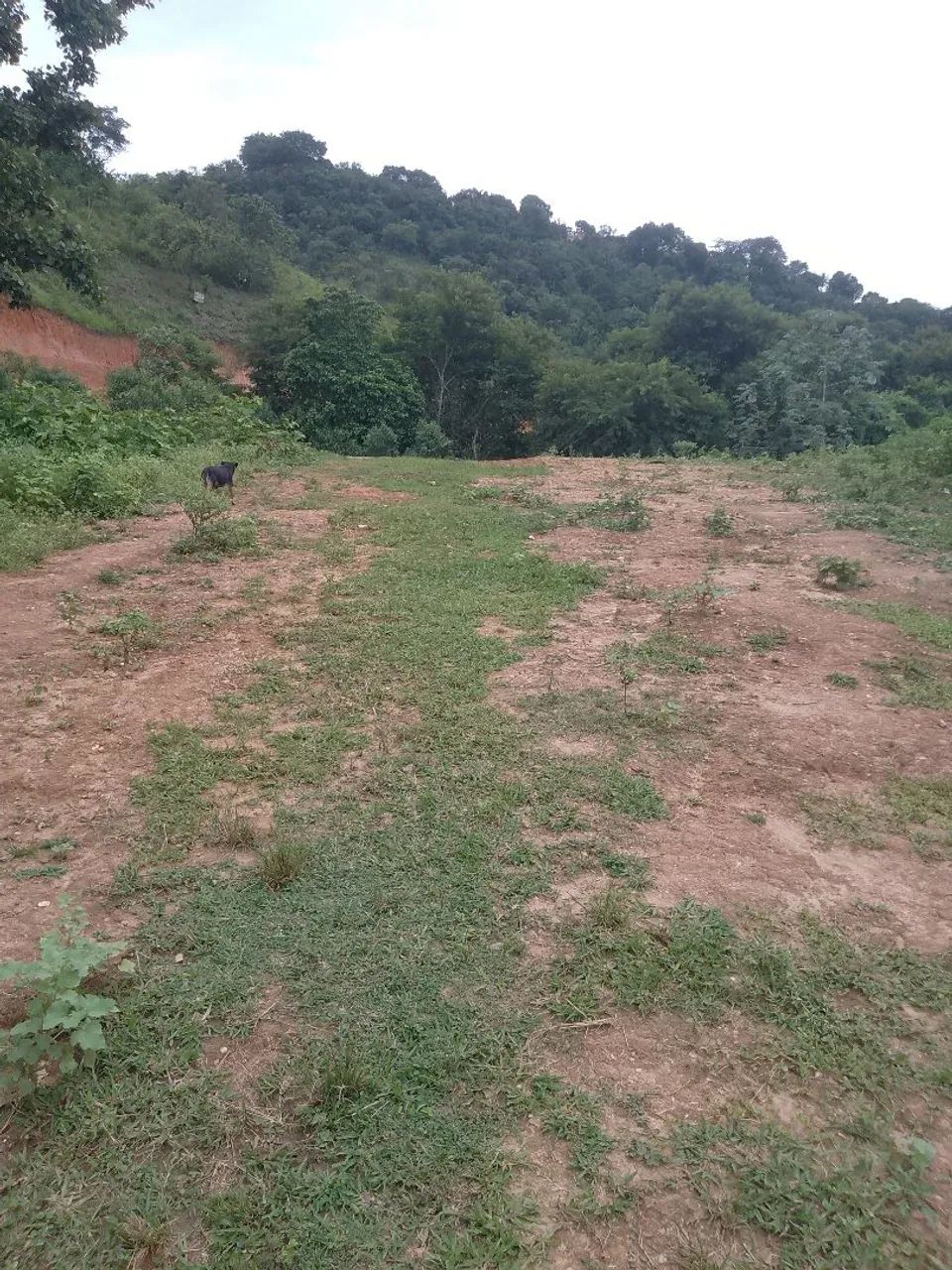 LOTES A VENDA Belmonte volta redonda 