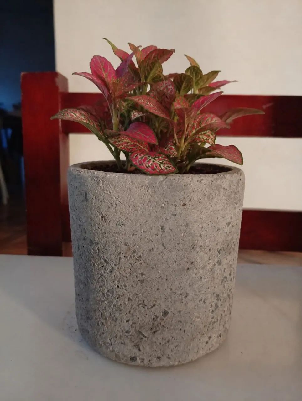 Vaso para plantas 