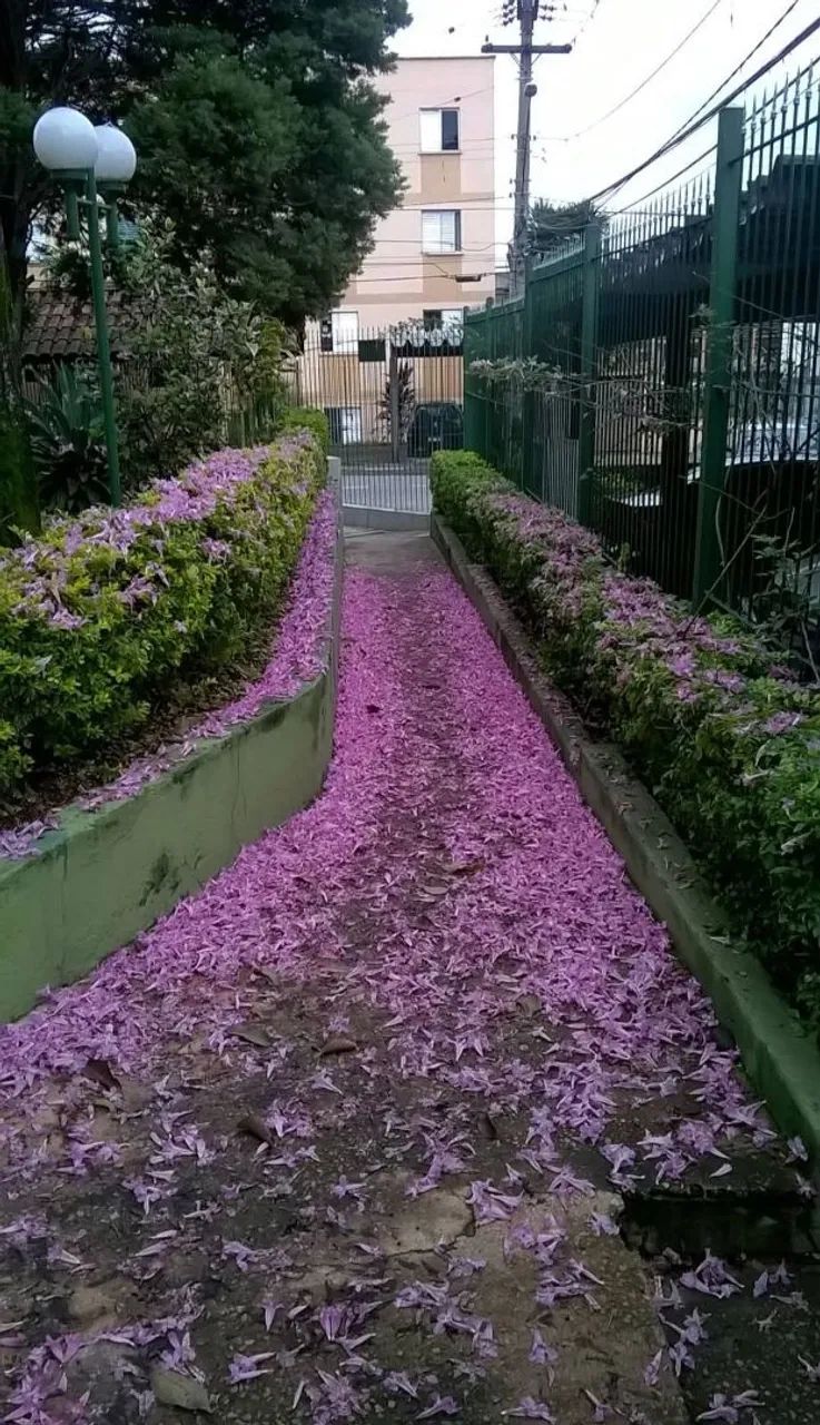 Vendo-se um Apartamento