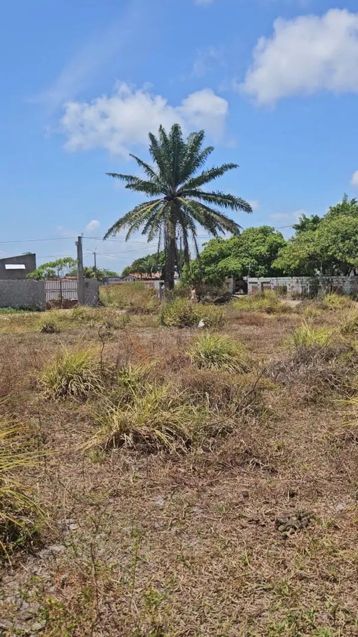 TERRENO CATUAMA - Foto 5