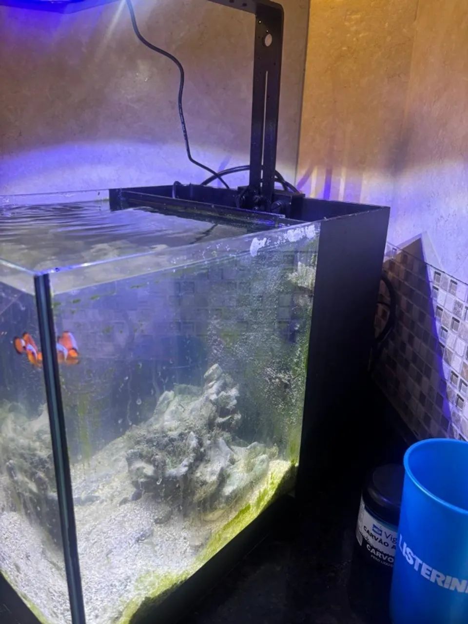 Aquário 40L Completo com Samp + Luminária Artika Ocean Tech  - Foto 5