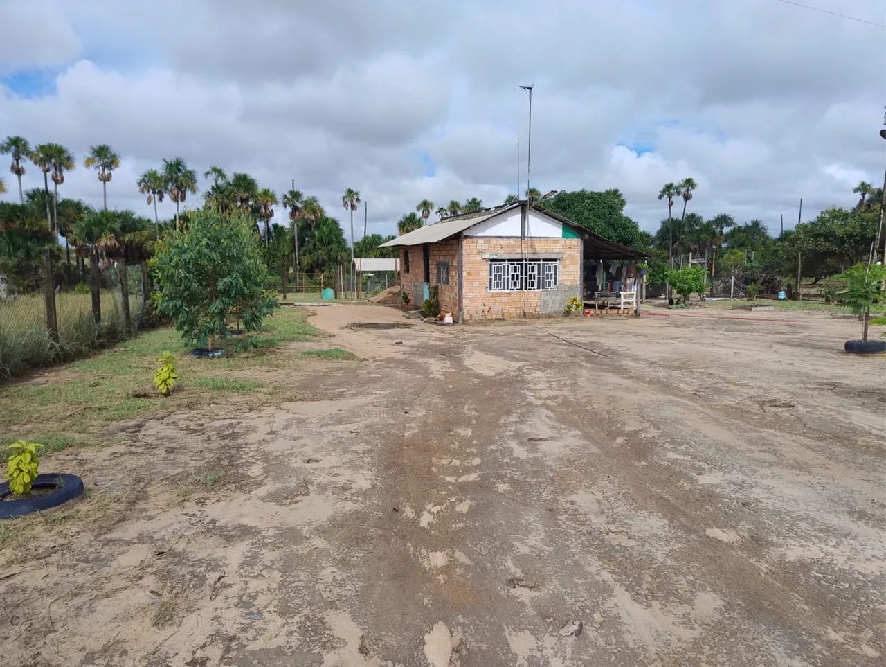 Sítio em Alto Alegre - Vicinal do Au Au - 5.000m² com Igarapé e Internet! - Foto 2