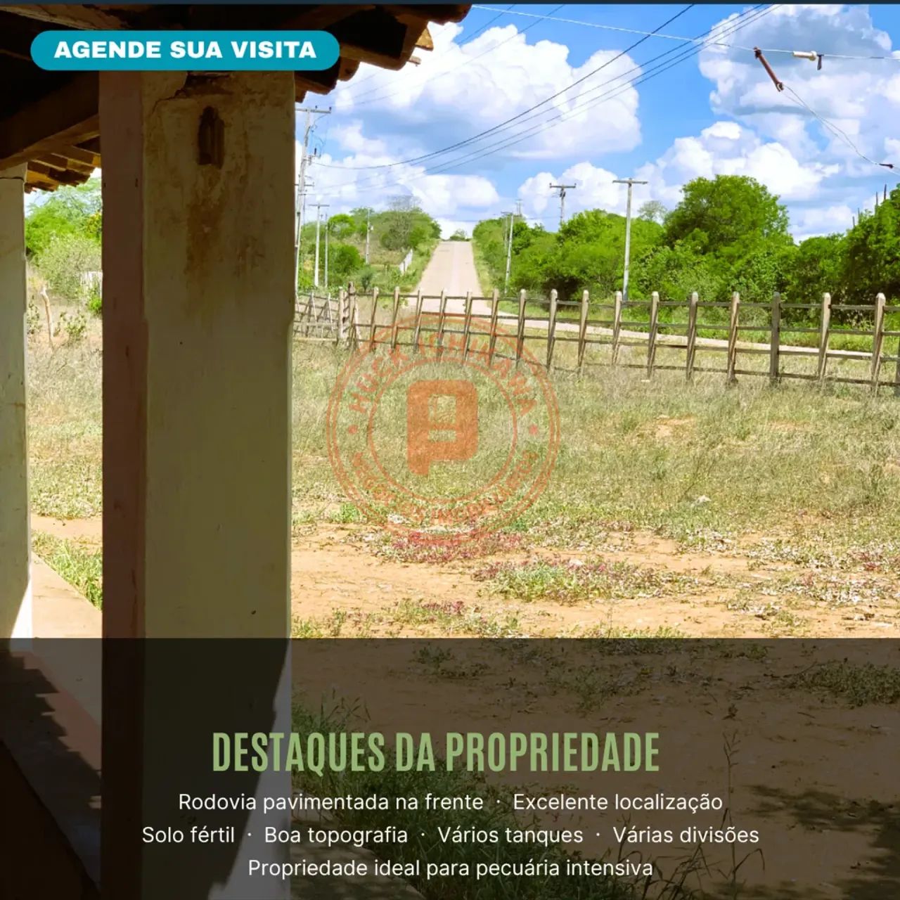 FAZENDA - 460 tarefas - ITABI - Foto 4