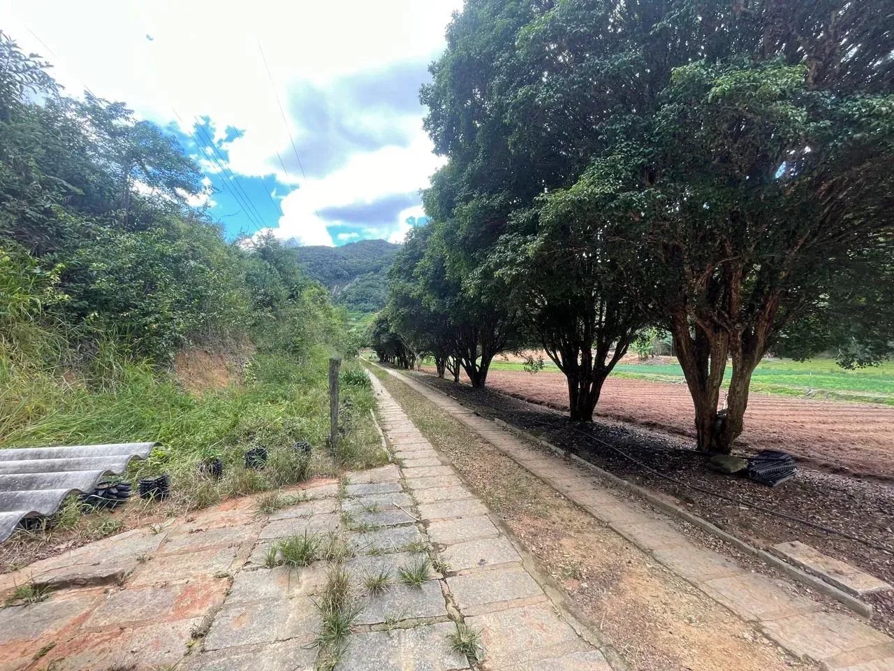 Estrada Santa Rosa Motas Teresópolis - Foto 4
