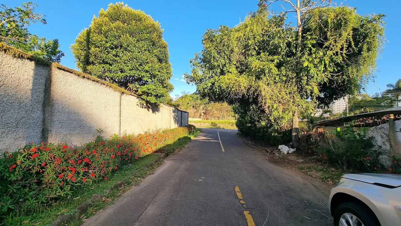 Lote / Terreno - Nova California - Foto 5