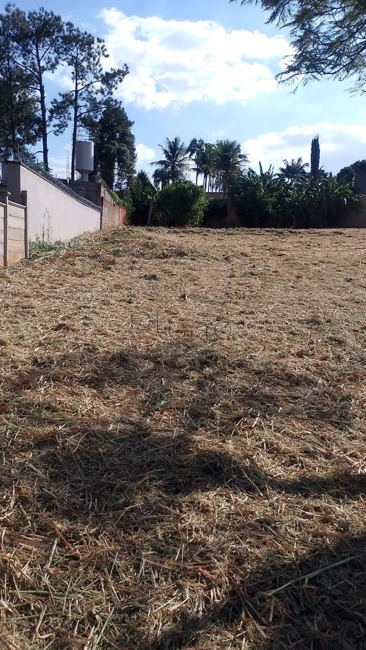 Terreno à venda em Campinas, Parque Taquaral, com 5116 m² - Foto 3
