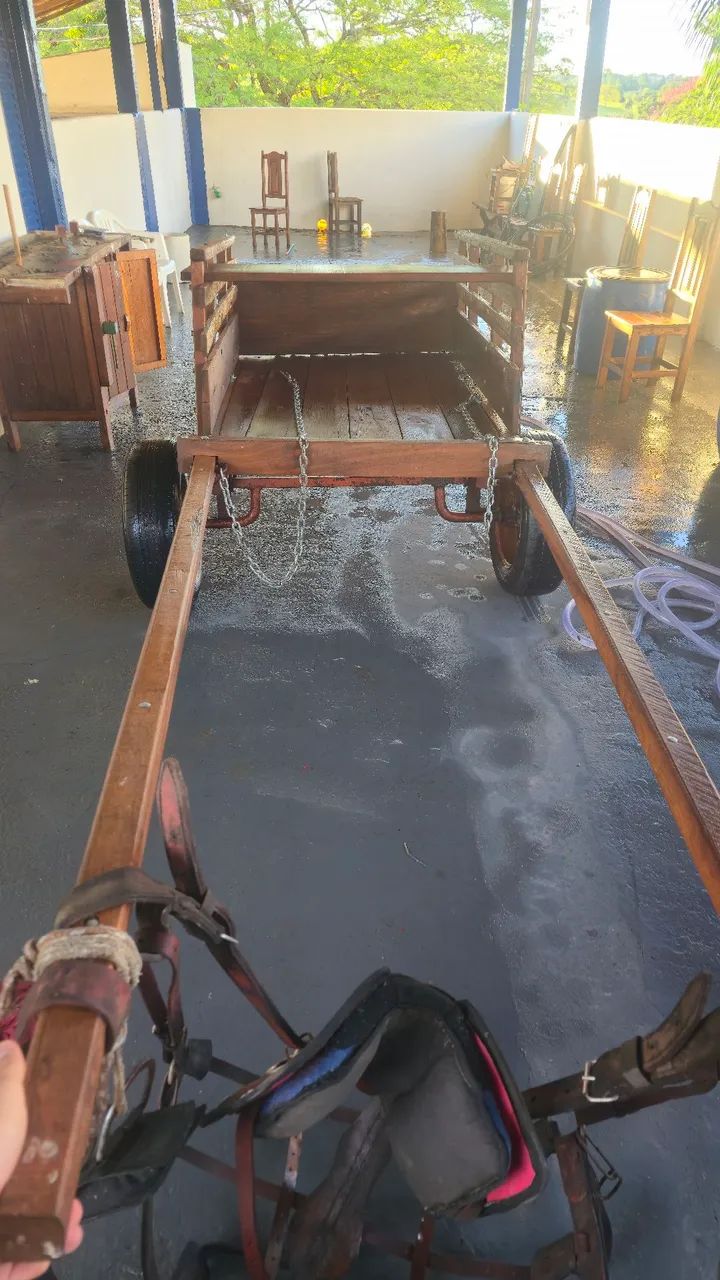 Carroça para trabalho.  - Foto 3
