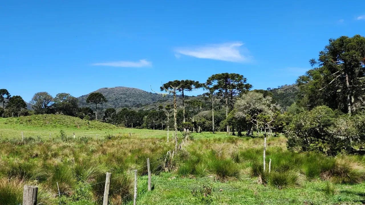 Terreno de altitude à venda em Urupema - Foto 4