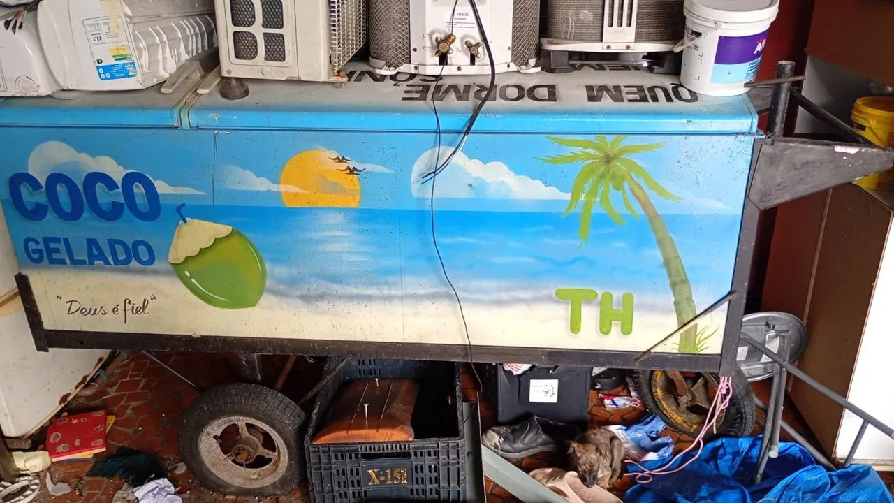 Vendo carrinho de coco em ótimo estado e pintadinho......chamaaaaaa - Foto 3
