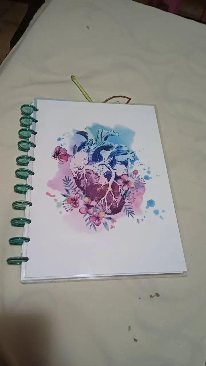 Caderno de disco (estilo inteligente)449241783185582080