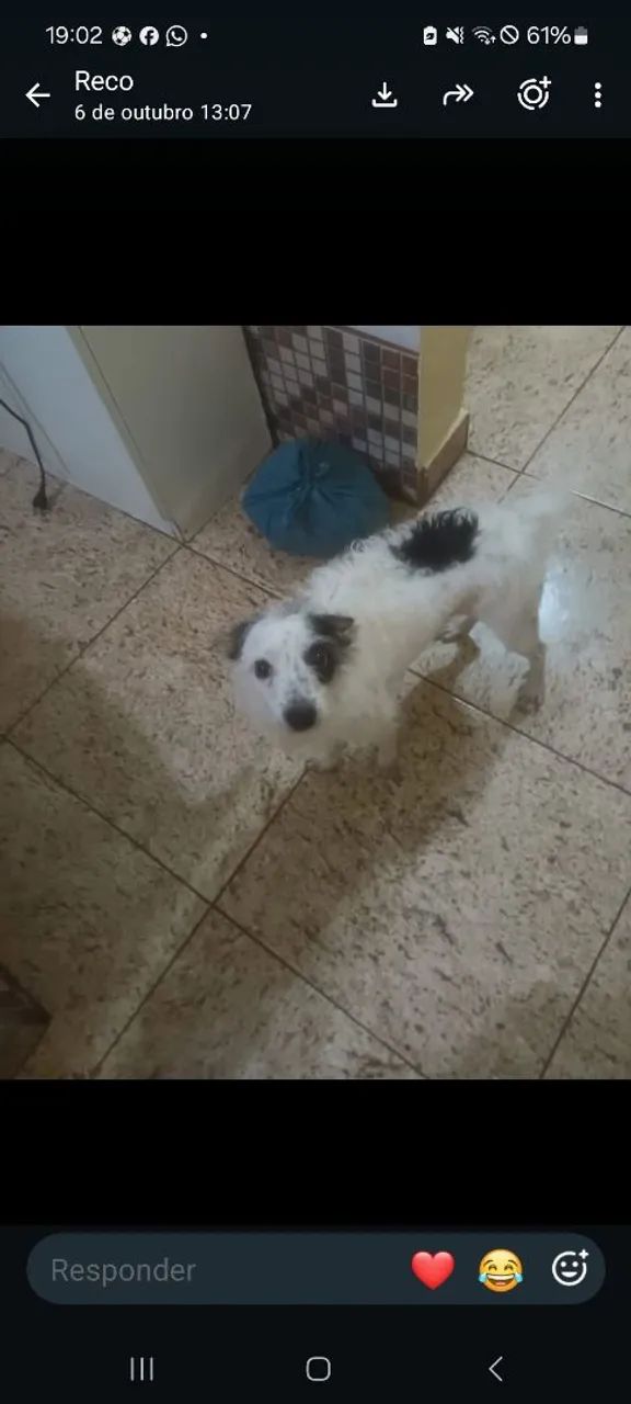 Adoção com amor