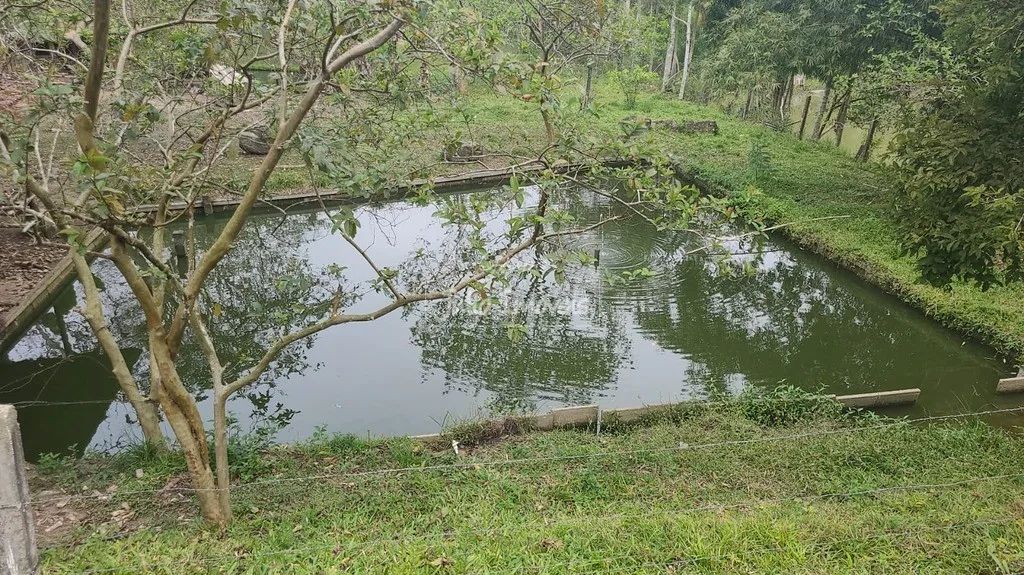 Sitio na Limeira Alta em Brusque - Foto 5