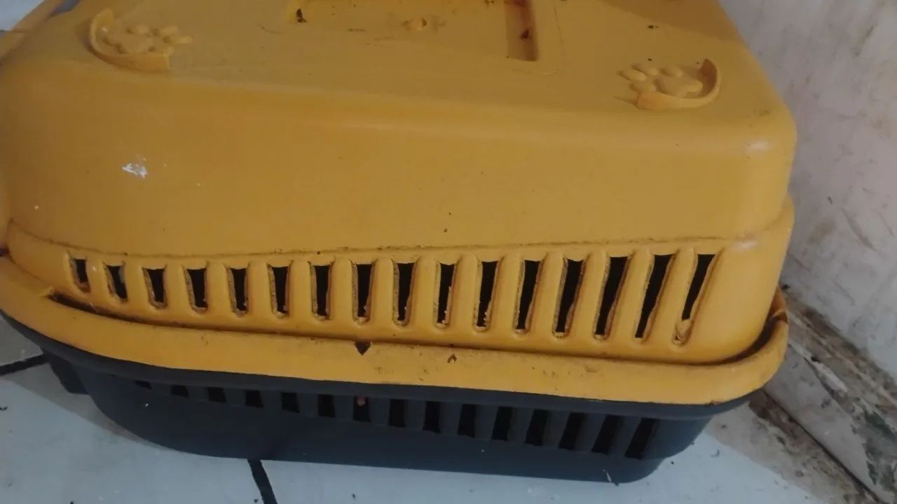 Caixa p transportar Gato  - Foto 2