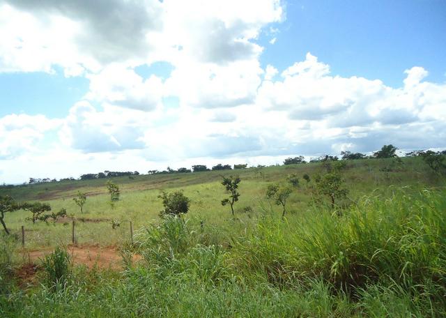 Área - Rodovia BR 060 Imobiliária Azevedo Gomes - Foto 4