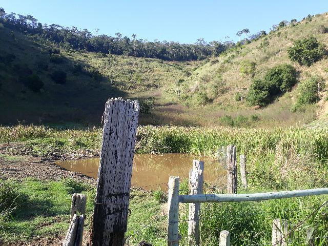 Fazenda com 174 hectares barra de são francisco - Foto 2
