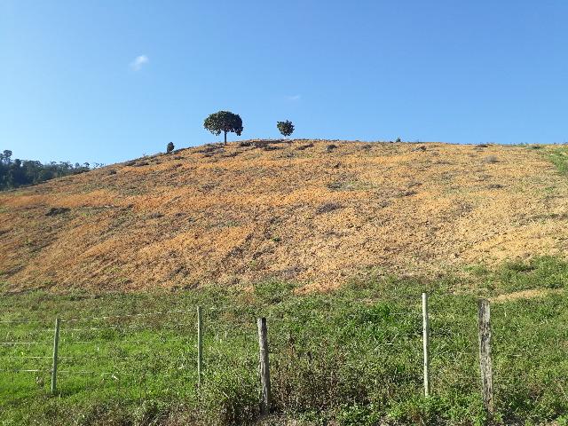 Fazenda com 174 hectares barra de são francisco - Foto 8