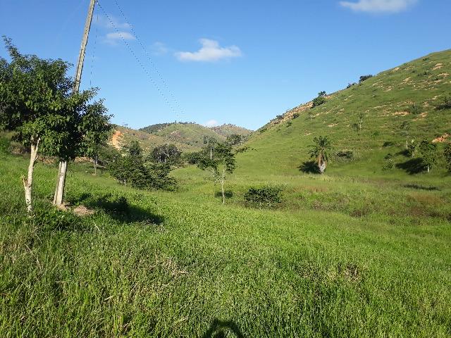 Fazenda com 174 hectares barra de são francisco - Foto 4