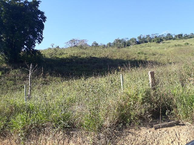 Fazenda com 174 hectares barra de são francisco - Foto 6