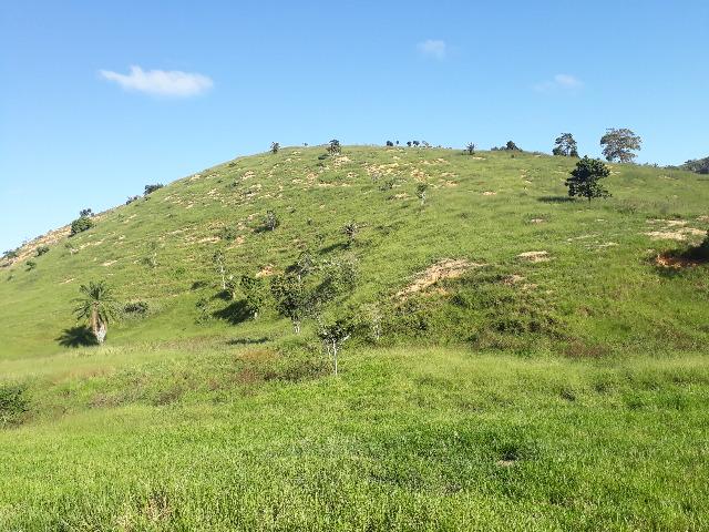 Fazenda com 174 hectares barra de são francisco - Foto 12