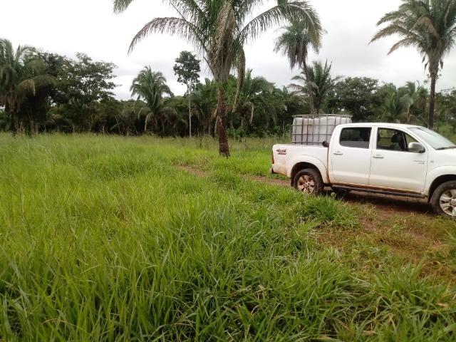 Fazenda 333 hectares para Pecuária em Livramento - Foto 16