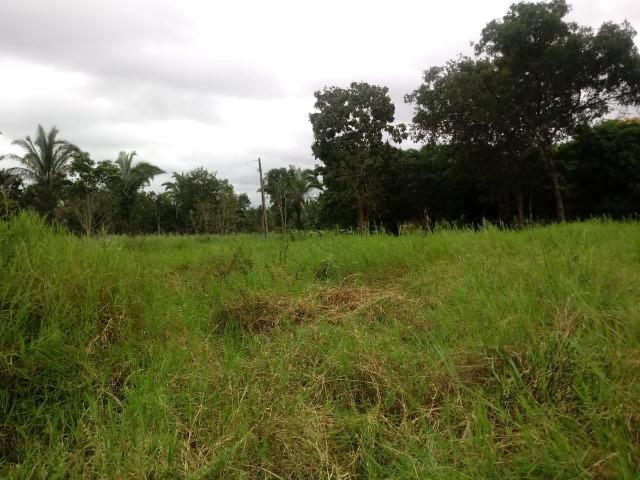 Fazenda 333 hectares para Pecuária em Livramento - Foto 4