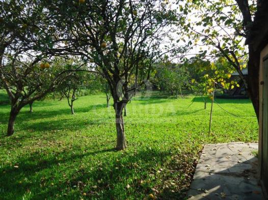 Chácara à venda em Lomba grande, Novo hamburgo cod:64492 - Foto 7