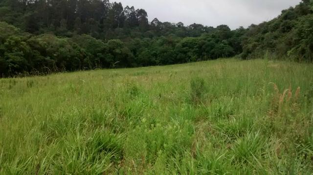 Ref. 1944-2 Chácara com 96.000 m², Localizada na Colônia Municipal ? Lapa - Foto 3