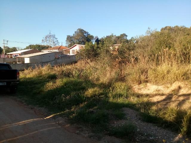 Terreno/ Lote- São José dos Pinhais - Foto 2